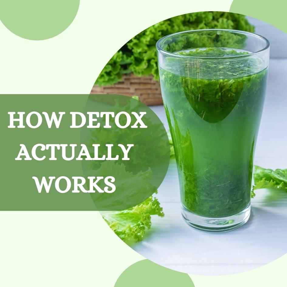  How Detox Actually Works?
