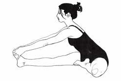 Janu shirshasana.jpg