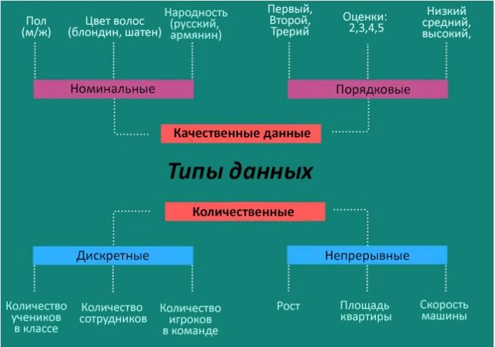 Статистика и данные