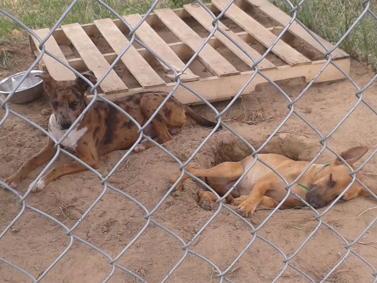 Work Day exhausted escapees 9-21-13.jpg