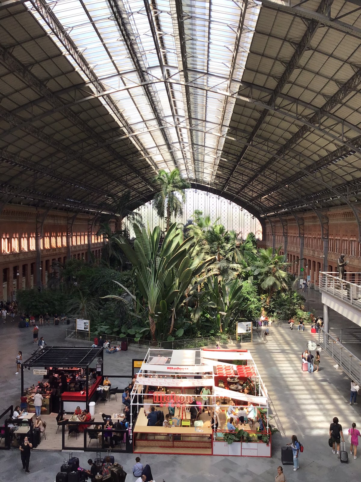 AtocheTrainStationJungle - Madrid's main train station has in indoor tropical jungle.