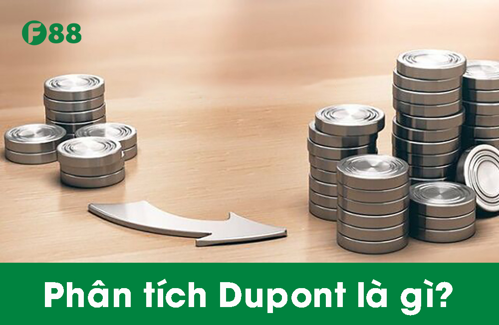 Phân tích Dupont