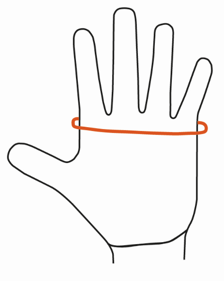 Hand maten Maten hand