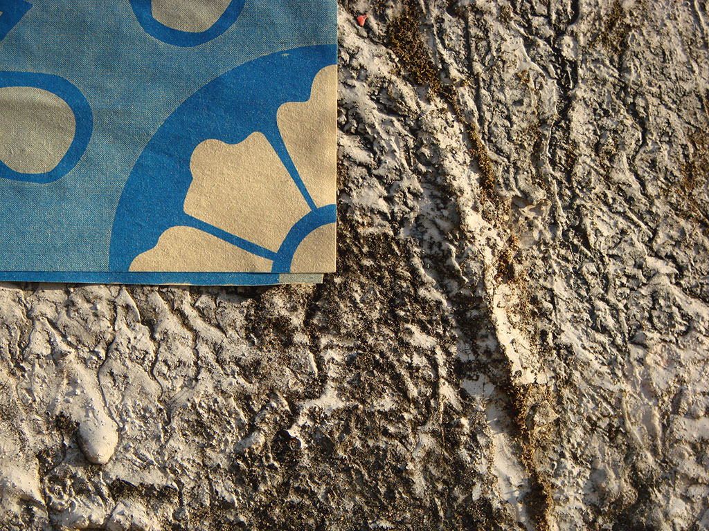 Detalhe de um Azulejo de Papel em parede (Grupo Poro)