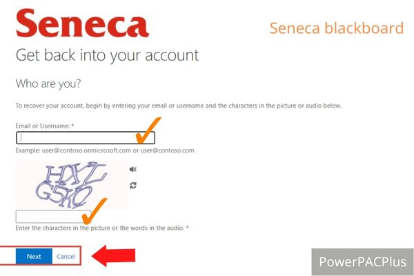 Enter your username or My Seneca email address and the characters in the picture or the words in the audio, then Click “Next” button