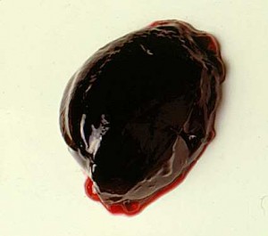 Sloe jelly, image