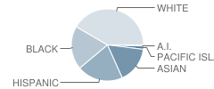 Vanden High School Student Race Distribution