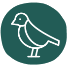 birding icon