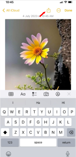 convert a picture to PDF on iPhone- Share button