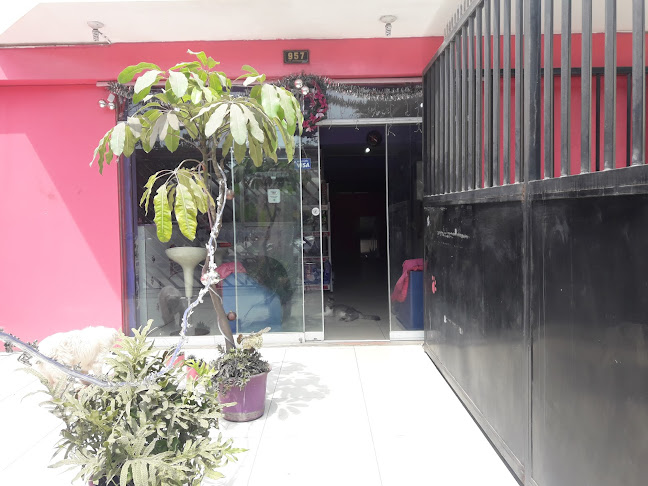 Opiniones de Veterinaria Patitas Peruanas en Lima - Veterinario