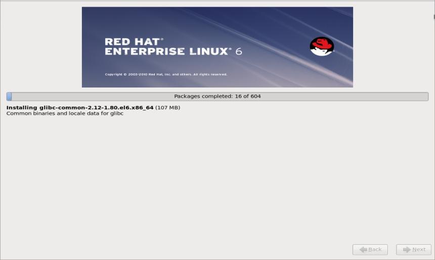 rhel6 installation progress