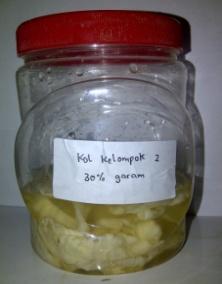 D:\My Documents\bahan kuliah\laporan mikro\foto praktikum\percobaan 7\gambar kol\hari 7 30%.jpg