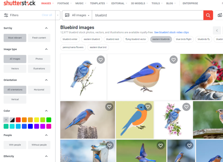 The 12 Best Image (Visual) Search Engines for Marketers - shutterstock
