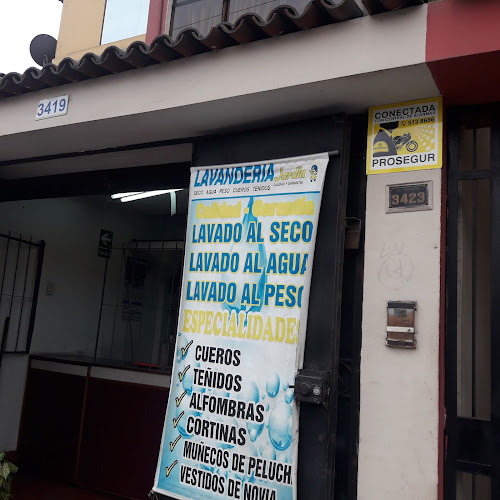 Lavandería Jardín