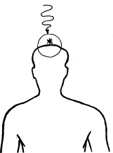 kir-16