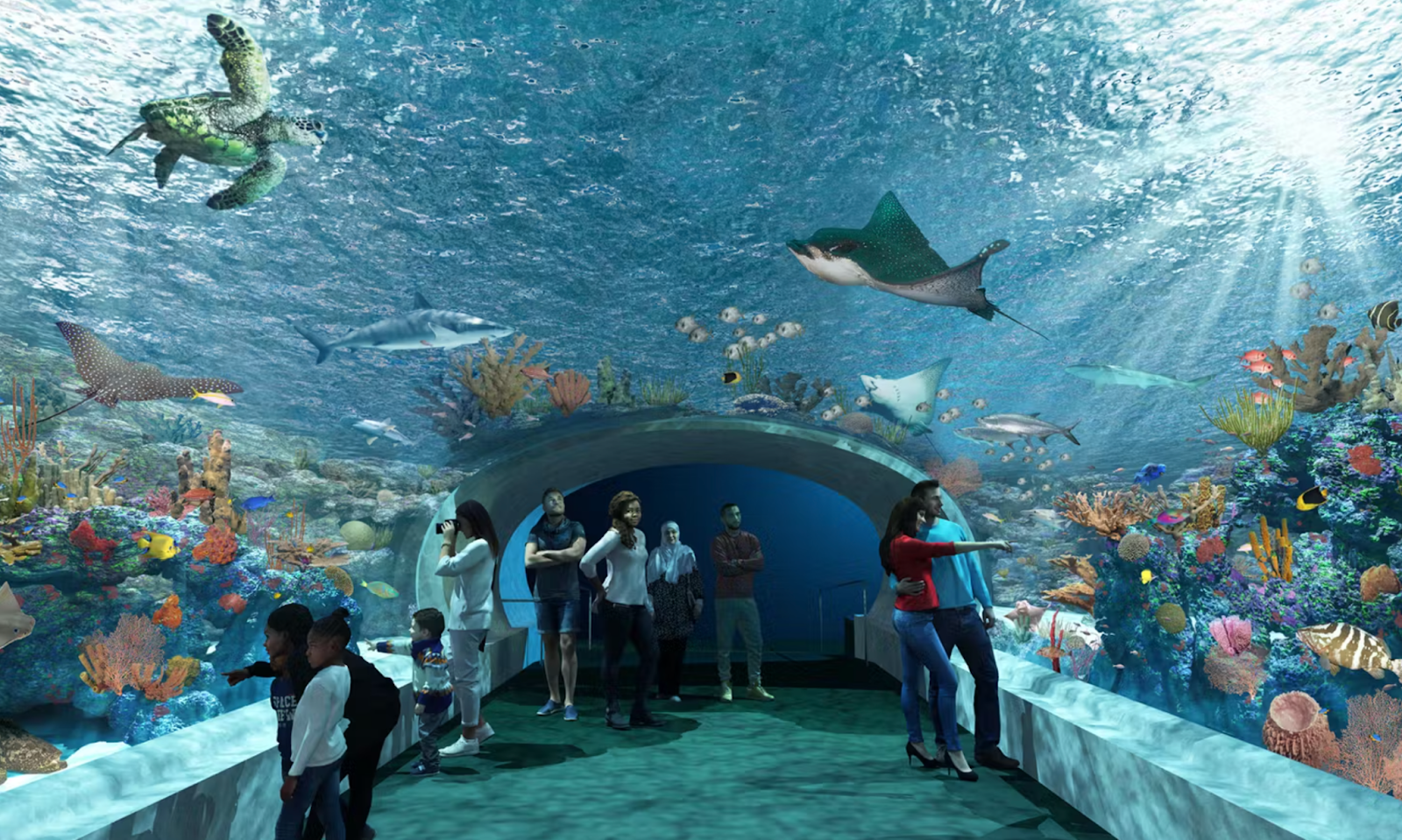 gift ideas for kids (not toys): Aquarium passes