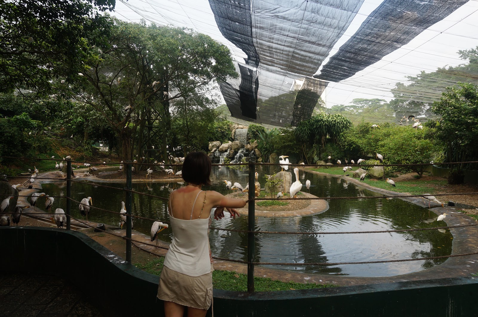 DSC08114.JPG