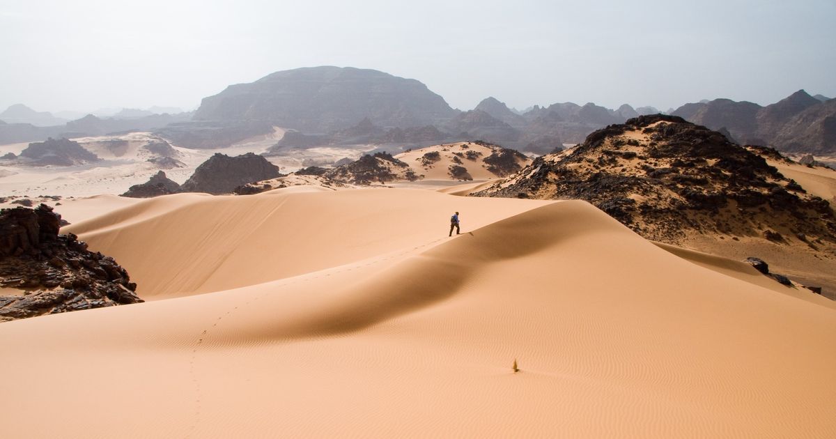 Navigating Desert Flora and Fauna