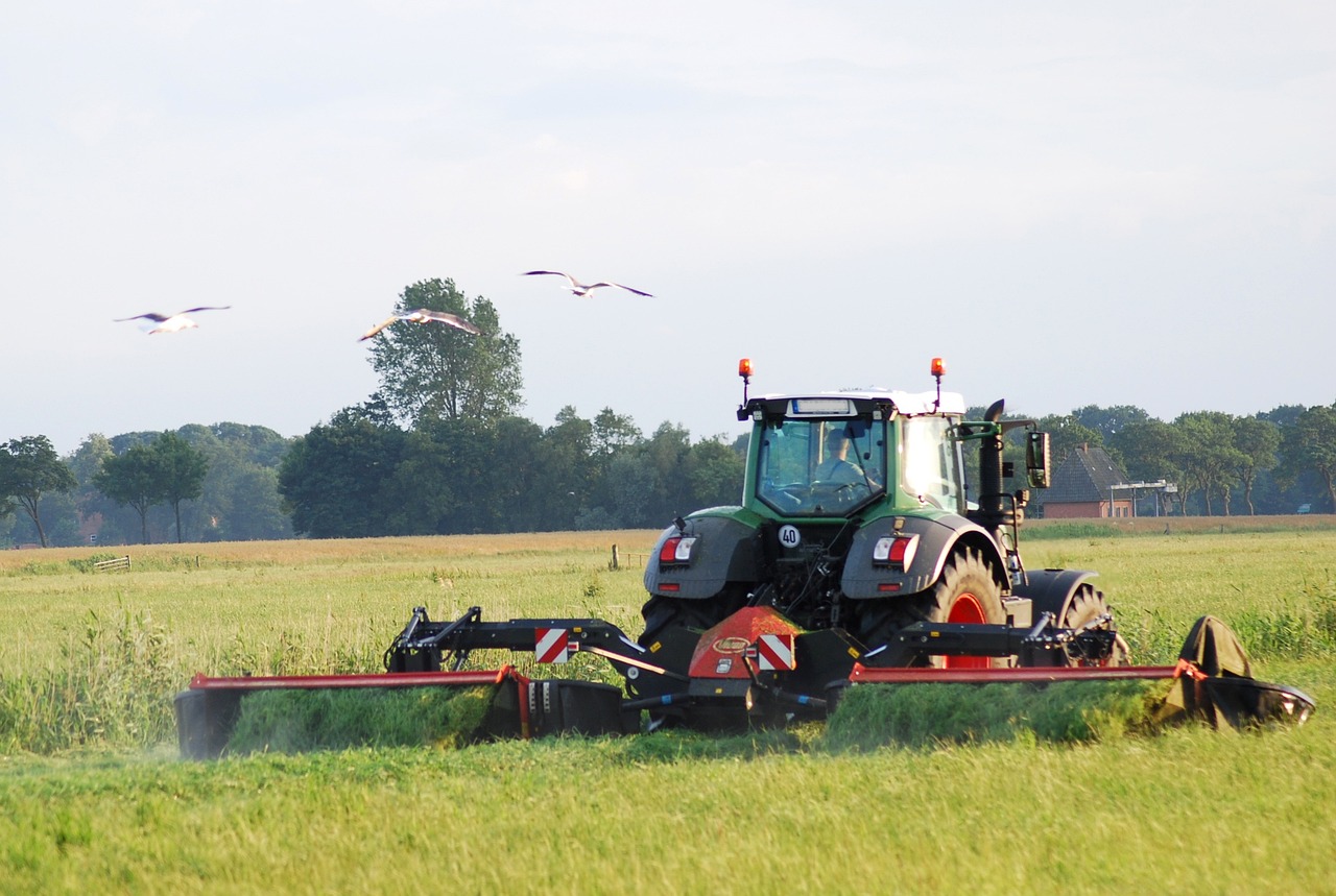  Trabaja la camelina como excelente cultivo