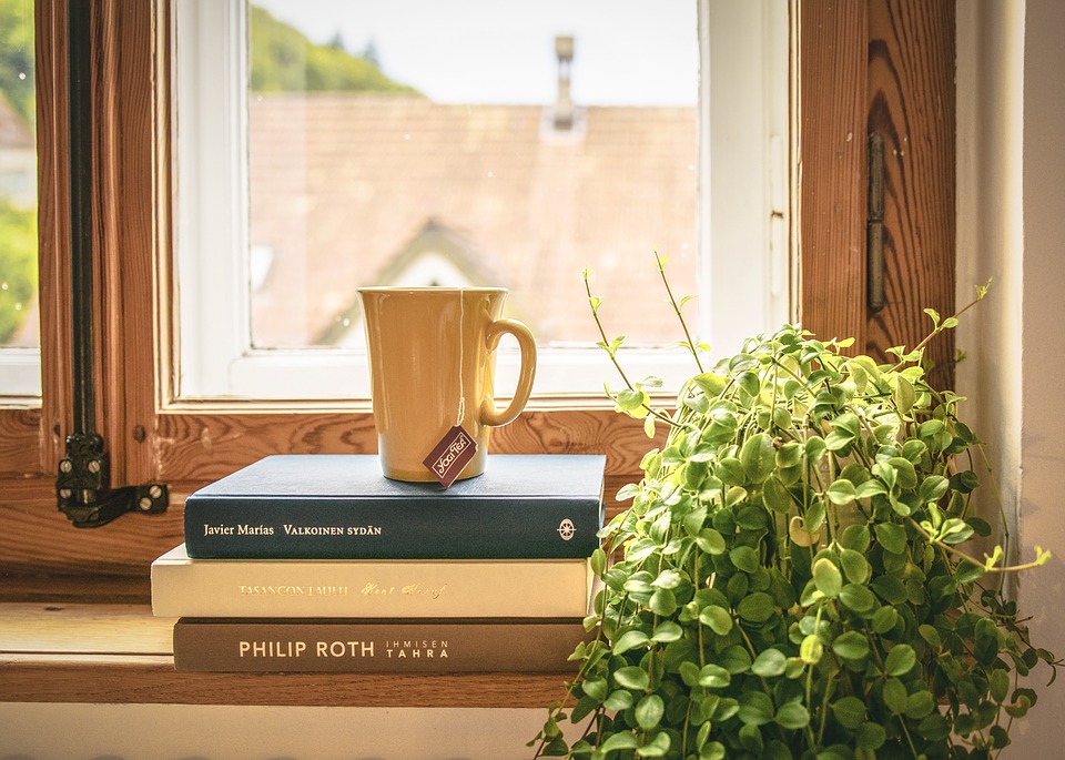 Book, Read, Tee, Literature, Window Sill, Houseplant