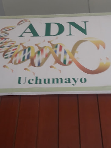 Comentarios y opiniones de ADN Uchumayo