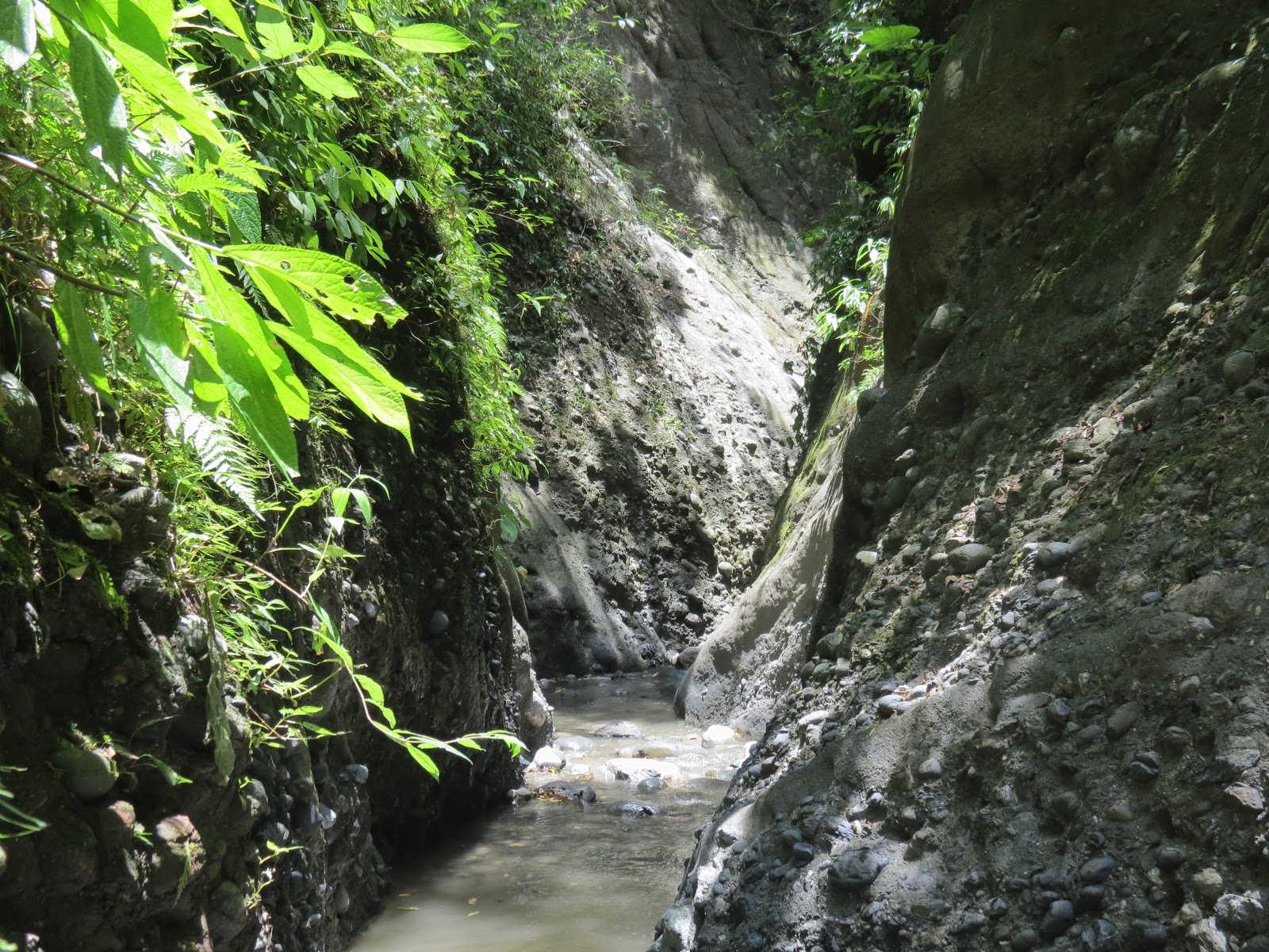 海岸山脈十二號溪.JPG