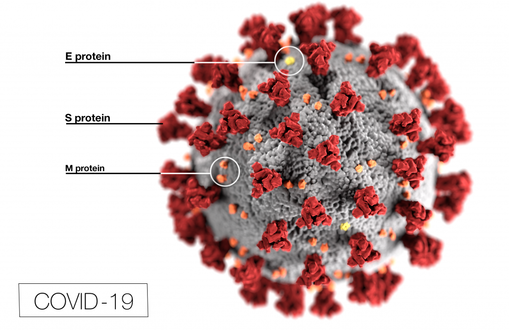 covid 19 virus