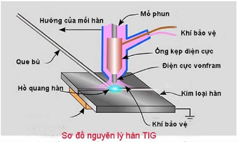 may-han-tig-3_optimized