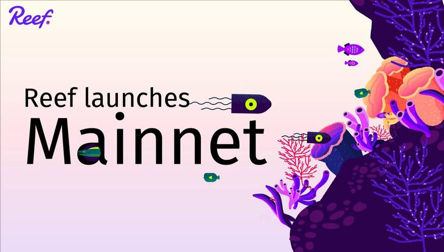 Reef Chain Mainnet