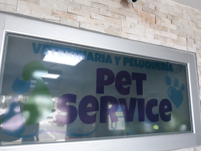 Pet Service - Veterinario