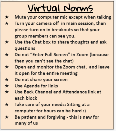 List of norms for online meeting