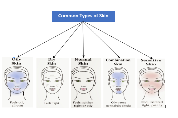 Common Types of Skin- how to know your skin type