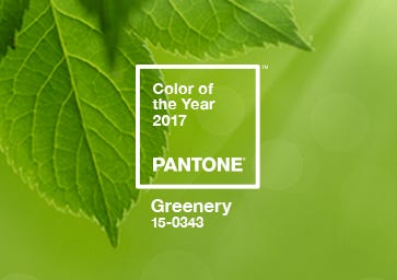 Color of the Year 2017: PANTONE 15-0343 GREENERY