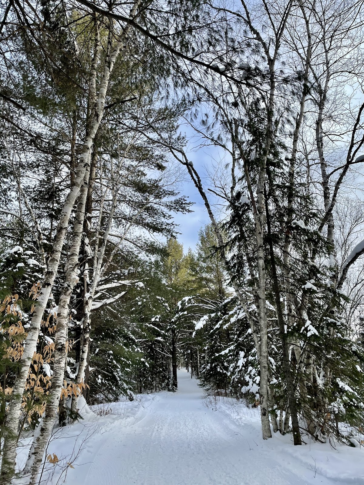 arrowhead provincial park