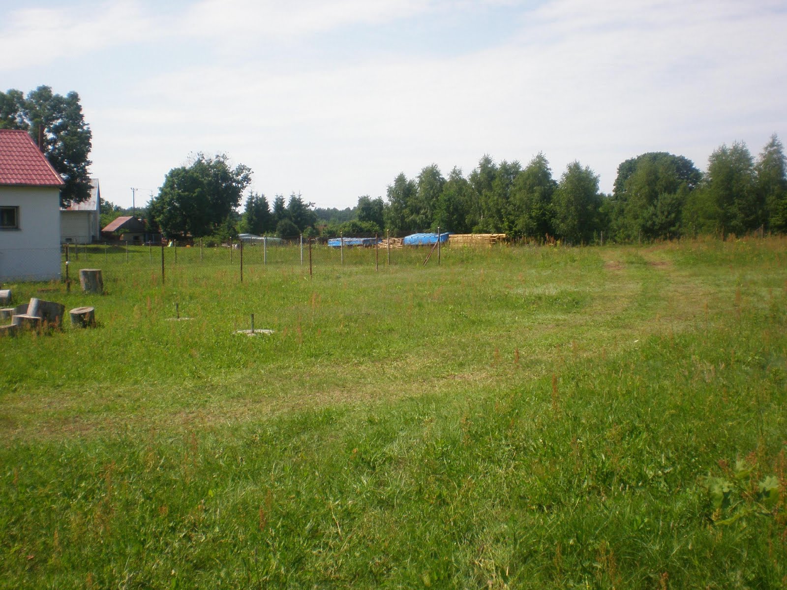 Działka przed realizacją działań (lipiec 2013)