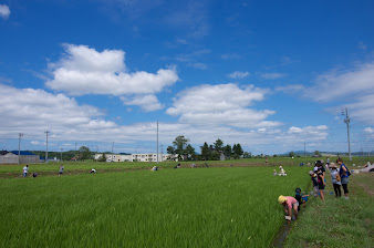 調査模様