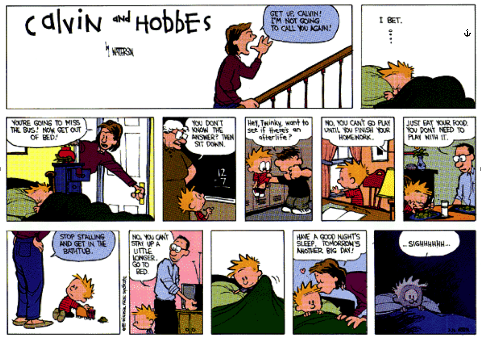 calvin and hobbes media.png