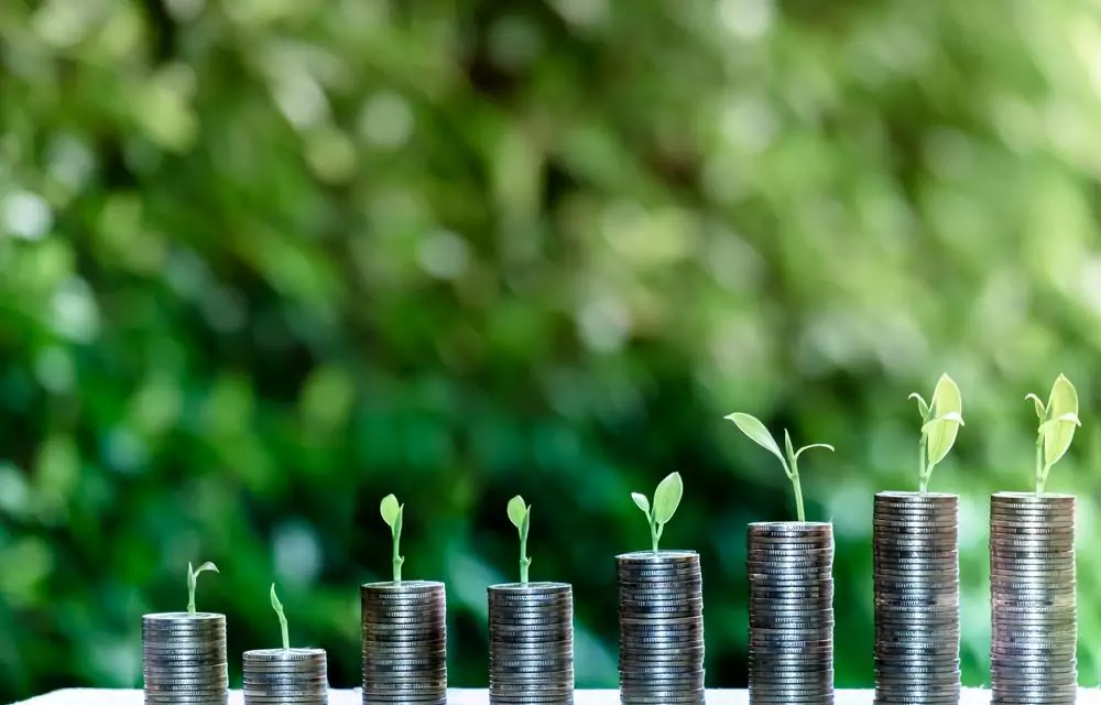 What is ESG and Impact Investing? Why does the world need these investment strategies? Here is what you need to know based on Curt Ranta’s insights!
