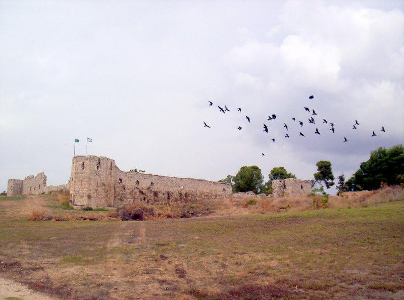 File:Antipatrida.jpg