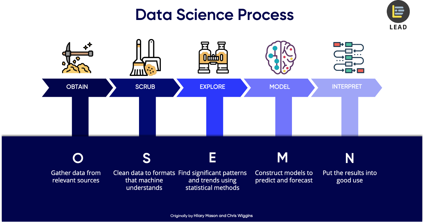 data scientist