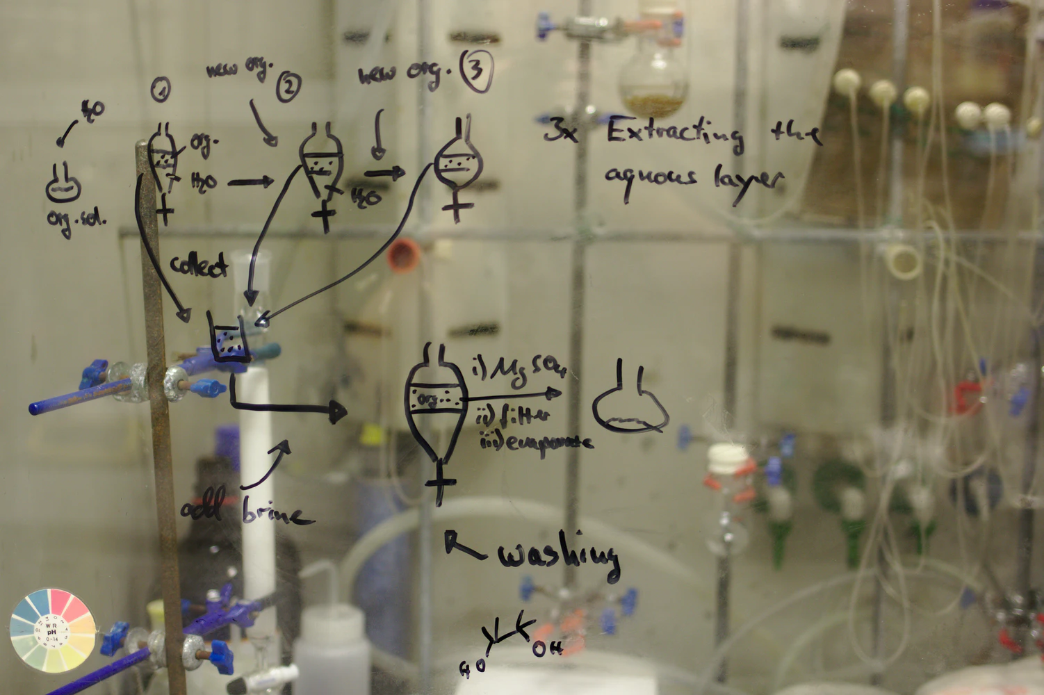 Amino Acid Students Guide: How to Study Biochemistry Efficiently