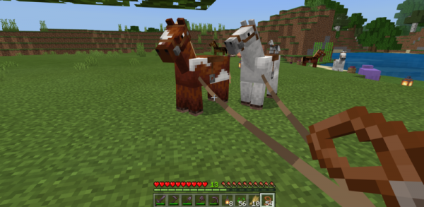 How to Breed Two Horses in Minecraft