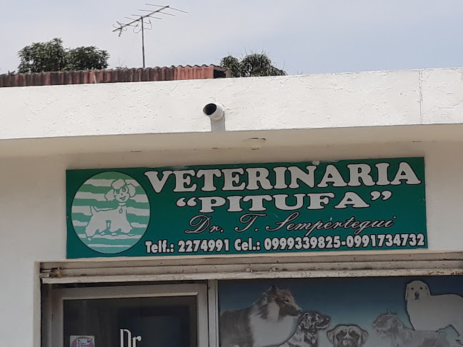 Opiniones de Veterinaria Pitufa en Guayaquil - Veterinario