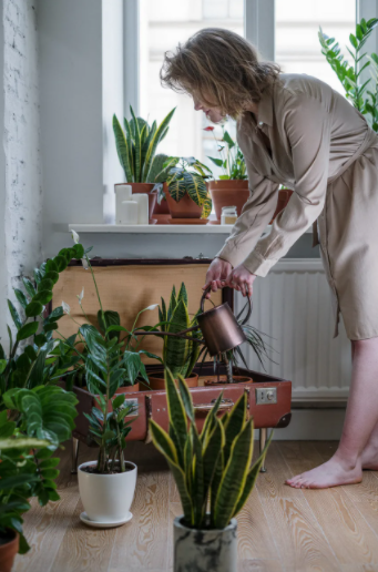 woman watering plants inside her house