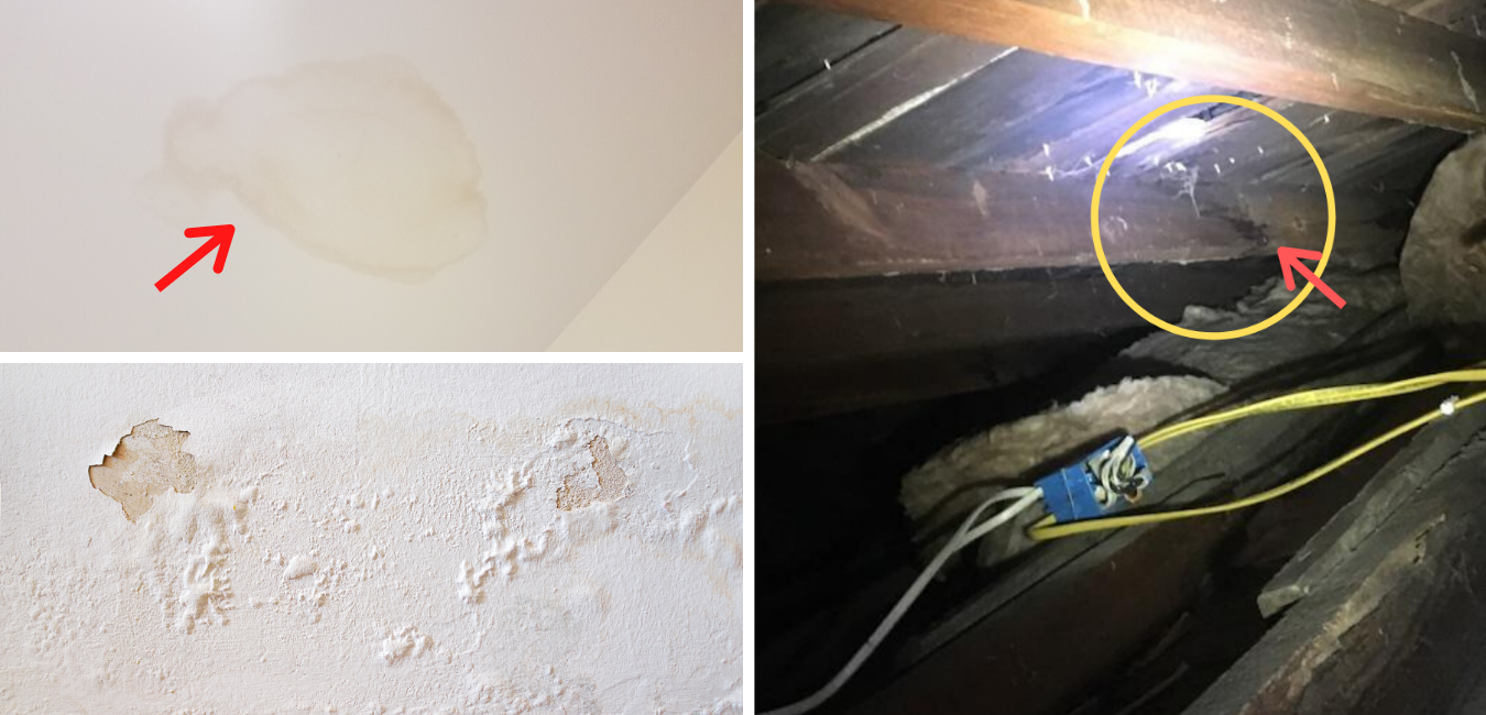 how to spot a roof leak in your home