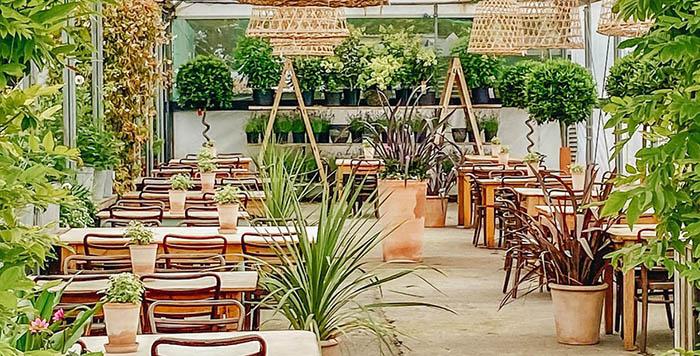 Ảnh có chứa cây, bàn, ngoài trời, ghế

Mô tả được tạo tự động