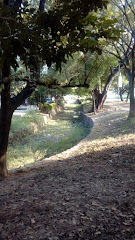 Parque La Cucaracha
