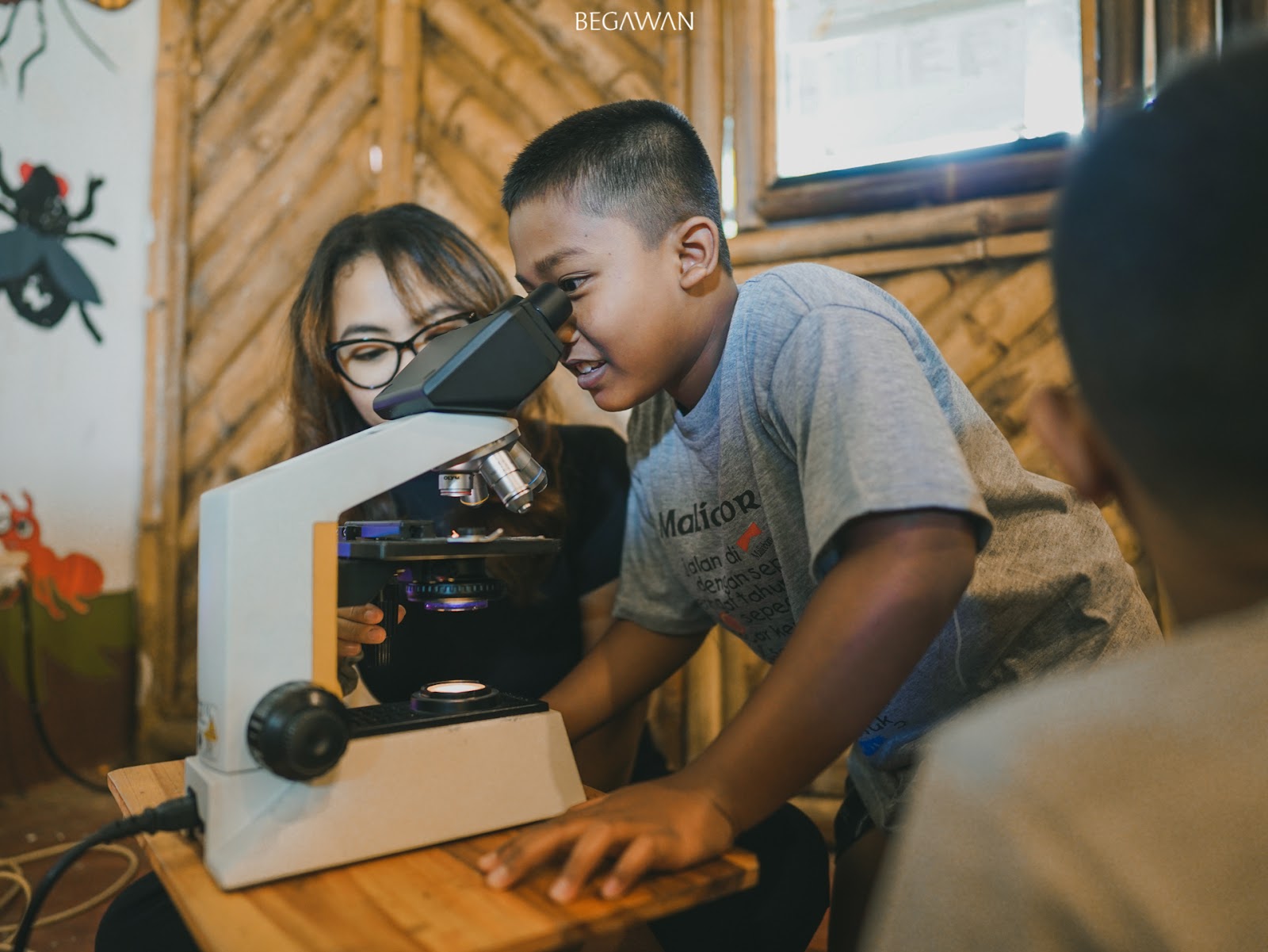 Facilitator guides students on how to examine insect details  with a microscope