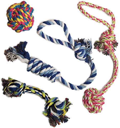 Otterly Pets Puppy Dog Pet Rope Toys para perros pequeños a medianos