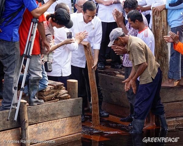 Indonesian President, Joko Widodo joins members of the Sungai Tohor community in damming a canal draining peatlands on Tebing Tinggi island. Indonesia’s carbon-rich peatlands are being destroyed by the pulp and oil palm plantation industries, laying foundations for forest fires that devastate the lives of millions of people in the region. 27 Nov, 2014
